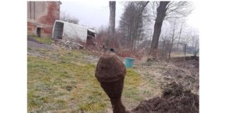 Kotlina Kłodzka. Niemiecki panzerfaust wykopany przypadkiem na podwórzu