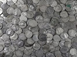 1753 rzymskie denary zostały odkryte pod Hrubieszowem, w sumie 5,5 kg srebra!