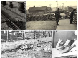 Polska użyła w Jaśle jako pierwsza broni chemicznej podczas IIWŚ? (GALERIA)