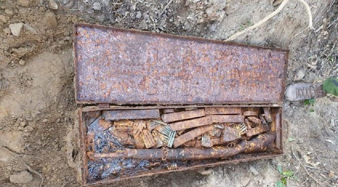 Niderlandy. Niezwykły depozyt broni odkryty w ogródku