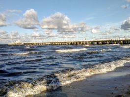 W Trójmieście znaleziono ślady powodzi morza sprzed 1500 lat!