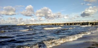 W Trójmieście znaleziono ślady powodzi morza sprzed 1500 lat!