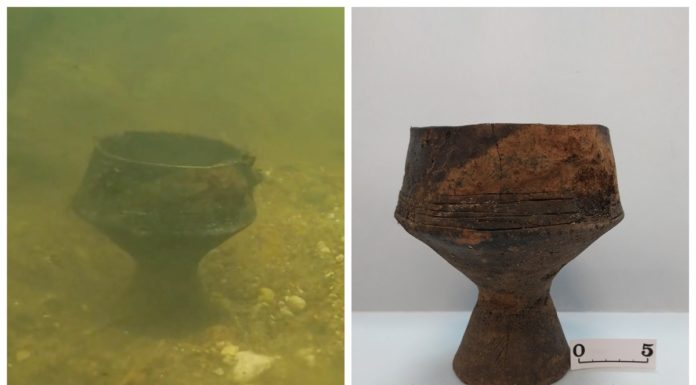 Nienaruszone naczynie sprzed 3 tys. lat znalezione na dnie rzeki (GALERIA + FILM)