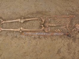 Jak wyglądała ciągłość zaludnienia na terenie Polski w epoce neolitu i brązu?