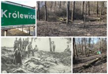 Poszukiwacze odkryli zapomniany cmentarz z I Wojny Światowej