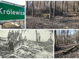 Poszukiwacze odkryli zapomniany cmentarz z I Wojny Światowej