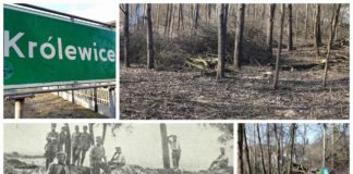 Poszukiwacze odkryli zapomniany cmentarz z I Wojny Światowej