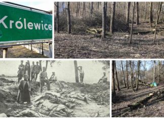 Poszukiwacze odkryli zapomniany cmentarz z I Wojny Światowej