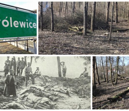 Poszukiwacze odkryli zapomniany cmentarz z I Wojny Światowej