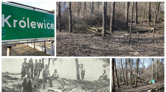 Poszukiwacze odkryli zapomniany cmentarz z I Wojny Światowej