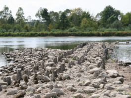 Archeolodzy liczą że dzięki suszy odkryją nowe zabytki – wiele z nich jest zagrożonych