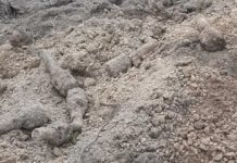 Lubelskie. Granaty z II WŚ na prywatnej posesji