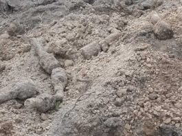 Lubelskie. Granaty z II WŚ na prywatnej posesji