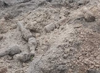 Lubelskie. Granaty z II WŚ na prywatnej posesji