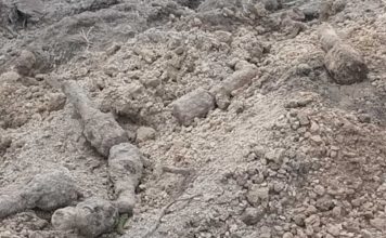 Lubelskie. Granaty z II WŚ na prywatnej posesji