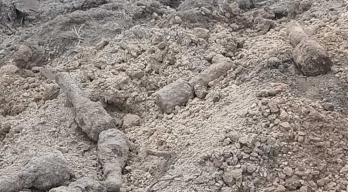 Lubelskie. Granaty z II WŚ na prywatnej posesji