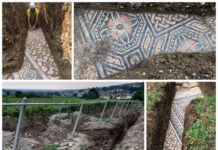 Mozaiki z rzymskiej willi odkryte pod winnicą we Włoszech (GALERIA)