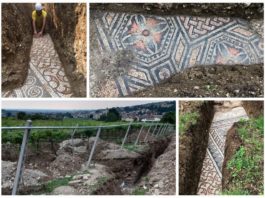 Mozaiki z rzymskiej willi odkryte pod winnicą we Włoszech (GALERIA)
