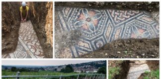 Mozaiki z rzymskiej willi odkryte pod winnicą we Włoszech (GALERIA)