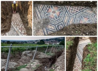 Mozaiki z rzymskiej willi odkryte pod winnicą we Włoszech (GALERIA)
