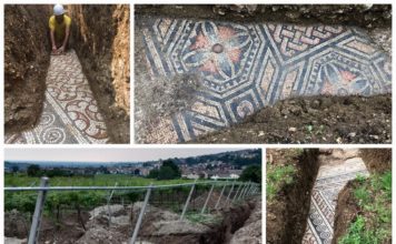 Mozaiki z rzymskiej willi odkryte pod winnicą we Włoszech (GALERIA)