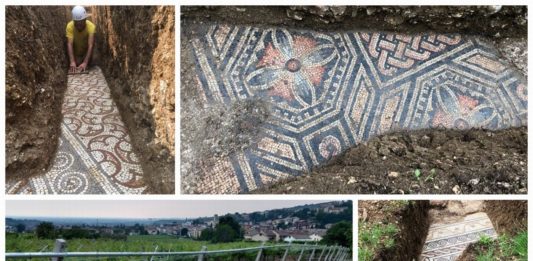 Mozaiki z rzymskiej willi odkryte pod winnicą we Włoszech (GALERIA)