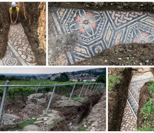 Mozaiki z rzymskiej willi odkryte pod winnicą we Włoszech (GALERIA)