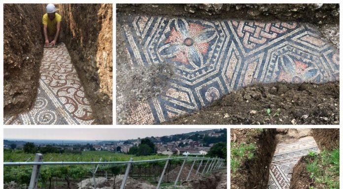 Mozaiki z rzymskiej willi odkryte pod winnicą we Włoszech (GALERIA)