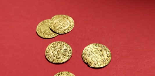 Dolnośląskie. Skarb 40 srebrnych i złotych monet z XV wieku – tylko u nas!