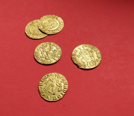 Dolnośląskie. Skarb 40 srebrnych i złotych monet z XV wieku – tylko u nas!