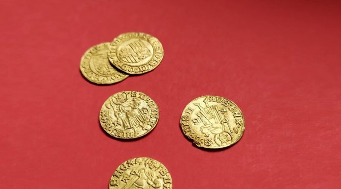 Dolnośląskie. Skarb 40 srebrnych i złotych monet z XV wieku – tylko u nas!
