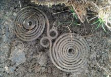 Szczecinek. Zapinka z epoki brązu odkryta przez pasjonatów trafiła do muzeum