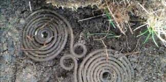 Szczecinek. Zapinka z epoki brązu odkryta przez pasjonatów trafiła do muzeum