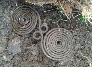 Szczecinek. Zapinka z epoki brązu odkryta przez pasjonatów trafiła do muzeum