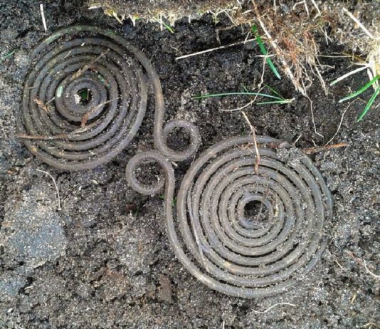 Szczecinek. Zapinka z epoki brązu odkryta przez pasjonatów trafiła do muzeum