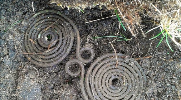 Szczecinek. Zapinka z epoki brązu odkryta przez pasjonatów trafiła do muzeum