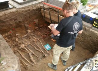 Kontynuacja badań IPN w Odolanowie – odkryto szczątki 8 żołnierzy oddziału „Błyska”