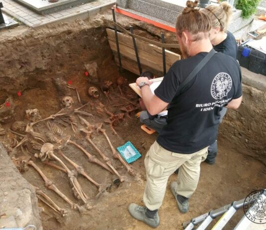 Kontynuacja badań IPN w Odolanowie – odkryto szczątki 8 żołnierzy oddziału „Błyska”