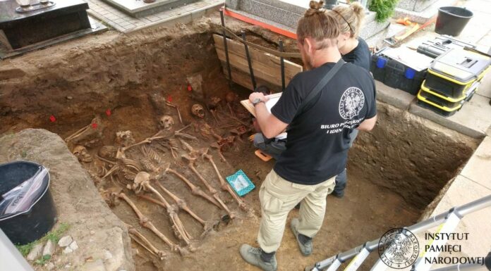 Kontynuacja badań IPN w Odolanowie – odkryto szczątki 8 żołnierzy oddziału „Błyska”