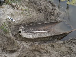 Wielkopolskie. Dłubanka odkryta na brzegu jeziora (GALERIA)