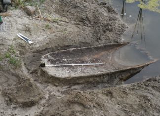 Wielkopolskie. Dłubanka odkryta na brzegu jeziora (GALERIA)