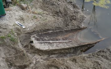 Wielkopolskie. Dłubanka odkryta na brzegu jeziora (GALERIA)