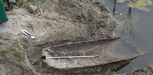 Wielkopolskie. Dłubanka odkryta na brzegu jeziora (GALERIA)