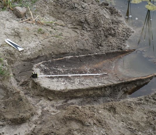 Wielkopolskie. Dłubanka odkryta na brzegu jeziora (GALERIA)