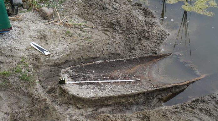 Wielkopolskie. Dłubanka odkryta na brzegu jeziora (GALERIA)