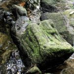 Hiszpania. Łowiąc pstrągi znalazł XIV-wieczną rzeźbę z Matką Boską kamienna rzeźba Marki Boskiej XIV wiek