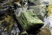 Hiszpania. Łowiąc pstrągi znalazł XIV-wieczną rzeźbę z Matką Boską kamienna rzeźba Marki Boskiej XIV wiek