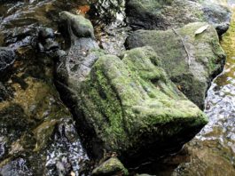 Hiszpania. Łowiąc pstrągi znalazł XIV-wieczną rzeźbę z Matką Boską kamienna rzeźba Marki Boskiej XIV wiek