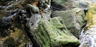 Hiszpania. Łowiąc pstrągi znalazł XIV-wieczną rzeźbę z Matką Boską kamienna rzeźba Marki Boskiej XIV wiek