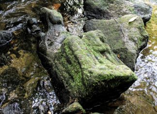 Hiszpania. Łowiąc pstrągi znalazł XIV-wieczną rzeźbę z Matką Boską kamienna rzeźba Marki Boskiej XIV wiek